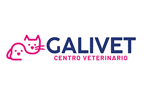 galivet